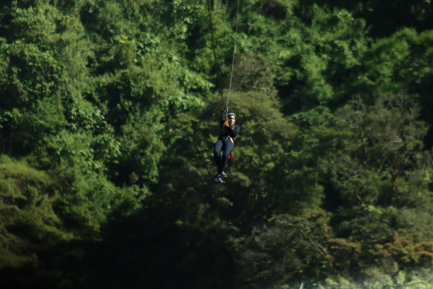 Ziplining through a forest canopy
