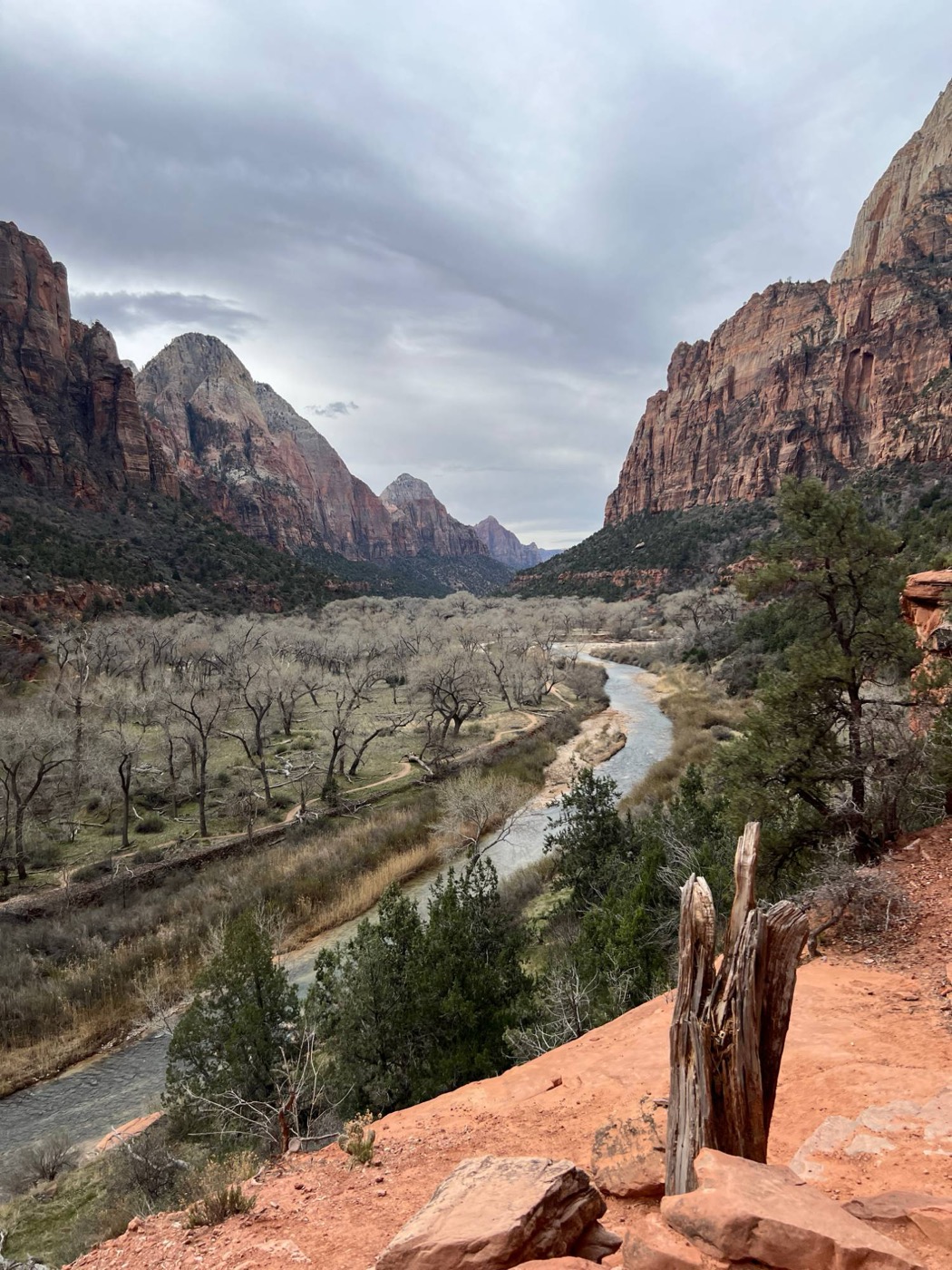 A river valley with red rock cliffs